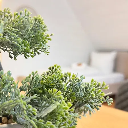 Апартаменти Historic 1898